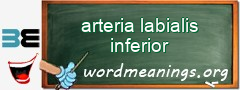 WordMeaning blackboard for arteria labialis inferior